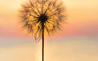 mindful living