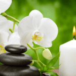 Revolutionize Your Well-being with This Holistic Guide to Wellness