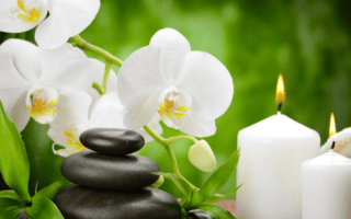 Revolutionize Your Well-being with This Holistic Guide to Wellness