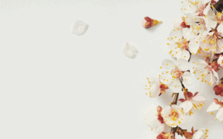 Benefits of Gratitude