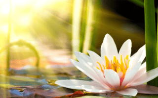 Feel Comfortable in Your Own Skin