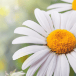 Life Hacks for Women