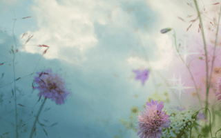 Things Not Worth Caring About