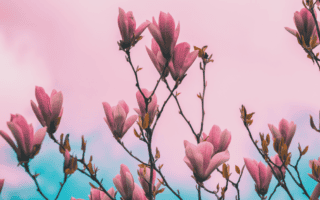 Feeling Invisible in Midlife